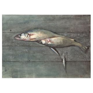 Thomas Daly, Still Life with Fish