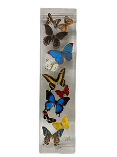 Butterflies Acrylic Case by Artist De Young