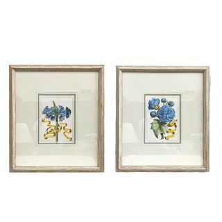 Pair of Decorative Floral Prints