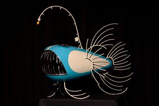 Rachel Paolino, Blue Anglerfish