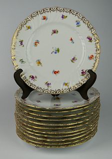 SET OF 12  DRESDEN HAND PAINTED FORAL DINER PLATES