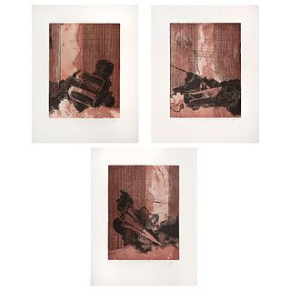 LUCIANO SPANÓ, I) L'Emile Rosseau I, II, III, Signed and dated 16, Engravings 19 / 20, 18 / 20 y 6 / 20 , 15.5 x 11.6" (39.5 X 29.5 cm) each
