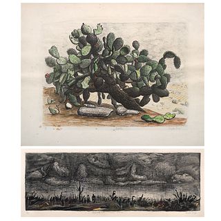 AMADOR LUGO, a) Tormenta sobre el Valle de México b) Nopales, Signed, Etching 3 / 4 and lithography 1 / 1, Pieces: 2