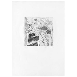 JOSEP GUINOVART, Untitled, Signed and dated 76, Etching, 9.6 x 9.6" (24.5 x 24.5 cm), Label from Galería Pecanins