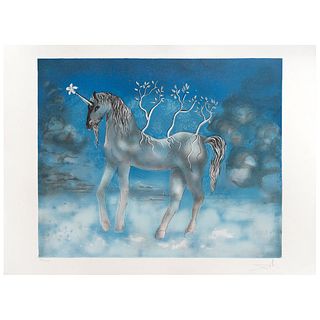 SALVADOR DALÍ, Cheval allègre (Happy unicorn), Signed, Lithography 198 / 300, 18.8 x 22.8" (48 x 58 cm)
