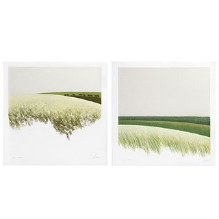 ENRIQUE CATTANEO, a)Pradera b)Colinas verdes, Signed, Serigraphies 91 / 100 and 97 / 100, 21.6 x 21.6" (55 x 55 cm) each