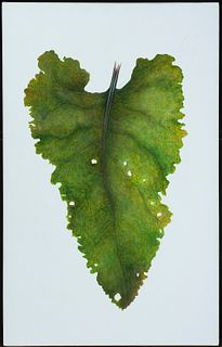 Marlene Ekola Gerberick (Finnish/Am. 20th Century)     -  "Burdock Leaf (Summer)" 2003   -   Oil on paper laid on canvas