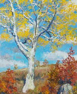 Douglas Smith (Am. 20th Century)     -  "Birch Tree, Beech Hill" 2004   -   Oil on canvas
