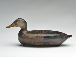 Extremely rare black duck, Bert Graves, Peoria, Illinois, 2nd quarter 20th century.