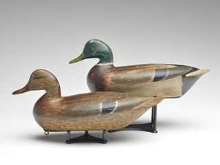 Rare early and slightly oversize pair of mallards, Charles Perdew, Henry, Illinois, circa 1928-1930.