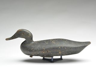 Black duck, James T. Holly, Havre de Grace, Maryland, last quarter 19th century.