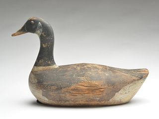 Rare Canada goose, James Holly, Havre de Grace, Maryland, last quarter 19th century.