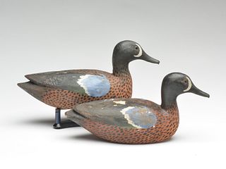 Two bluewing teal drakes, Reme Roussell, Raceland, Louisiana.