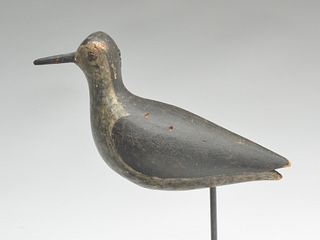 Early plover from Cape Cod, Massachusetts, last quarter 19th century.