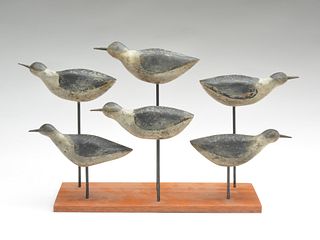 Rig of 6 sanderling with baleen bills from Eastern Cape Cod, circa 1900.