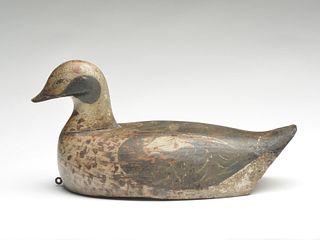 Oversize old squaw hen, from the South Shore of Massachusetts, 1st quarter 20th century.