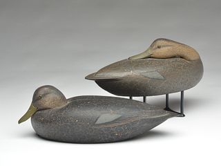 Exceptionally well sculpted rigmate pair of black ducks, Lou Rathmell, Stratford, Connecticut.
