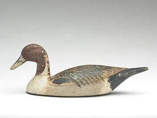 Early gunning model pintail drake, similar to the work of Jack Couret, New Orleans, Louisiana.