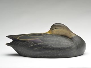 Hollow carved sleeping black duck, Marty Hanson, Hayward, Wisconsin.
