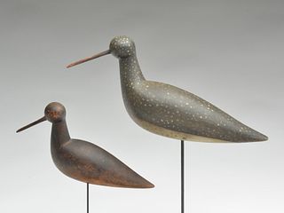 Two shorebirds, Mark McNair, Craddockville, Virginia.