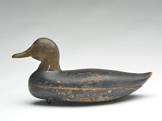 Hollow carved black duck from the Philadelphia, Pennsylvania area.