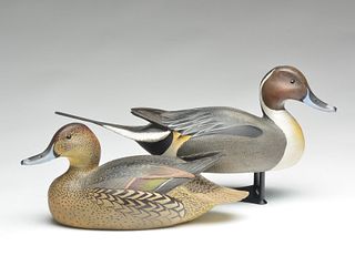 Pair of pintails, Ward Brothers, Crisfield, Maryland.