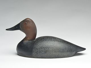 Excellent canvasback drake, Tom Chambers, Toronto, Ontario, 1st quarter 20th century.