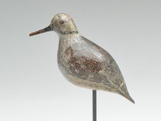 Ring neck plover from New Jersey, last quarter 19th century.