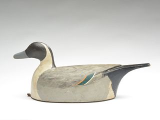 Hollow carved pintail drake, Percy Bicknell, Vancouver, British Columbia.