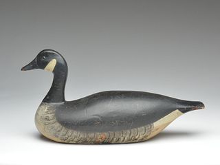 Canada goose, Joseph Lincoln, Accord, Massachusetts.