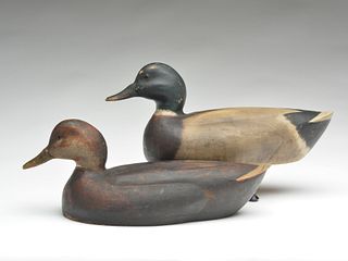 Pair of mallards from a home in Duxbury, Massachusetts. Attributed to Ferdinand Bach.