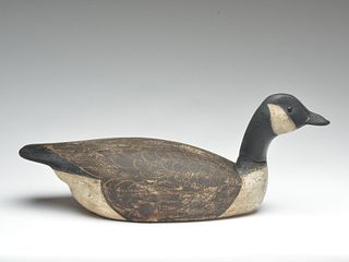 Swimming Canada goose from the Bishops Head Club, Ward Brothers, Crisfield, Maryland, circa 1930s