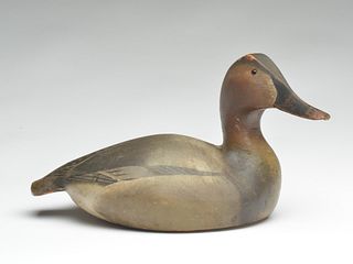 Well sculpted 1936 model canvasback hen, Ward Brothers, Crisfield, Maryland.