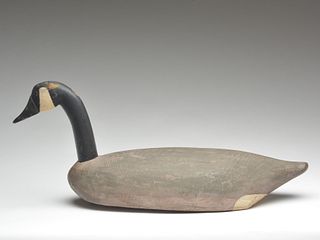 Canada goose, John Vickers, Cambridge, Maryland.