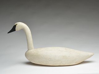 Swan, John Vickers, Cambridge, Maryland.