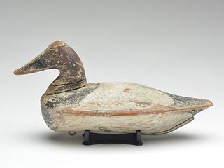 Canvasback drake from the Chesapeake Bay, 1st quarter 20th century.