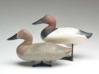 Pair of canvasbacks, Madison Mitchell, Havre de Grace, Maryland.