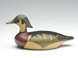 Wood duck drake, Joseph Lincoln, Accord, Massachusetts.
