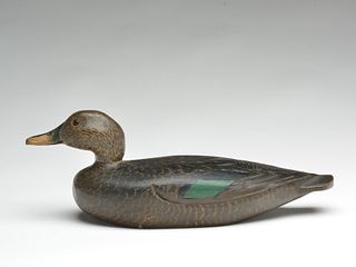 Black duck, Charles Hart, Gloucester, Massachusetts, 2nd quarter 20th century.