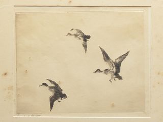 "Ducks at Dawn", Frank W Benson (1862-1951).