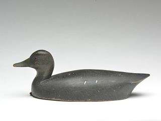 Black duck, John R. Wells, Toronto, Ontario, 1st half 20th century.