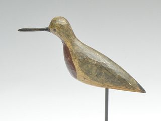 Robin snipe from New Jersey, last quarter 19th century.