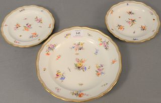 Set of thirteen Meissen dessert plates, dia. 7" with a serving plate, dia. 9 1/2". Estate of Tom & Alice Kugelman.