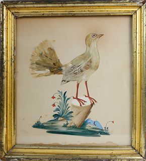 Watercolor and Feather Portrait of  a Bird on a Tree Stump, early 19th Century
