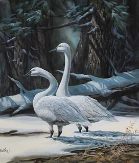 Don Balke (B. 1933) "White Swan"