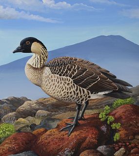 Chuck Ripper (B. 1929) "Hawaiian Goose"