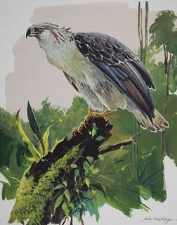 John Swatsley (B. 1937) "Philippine Eagle"