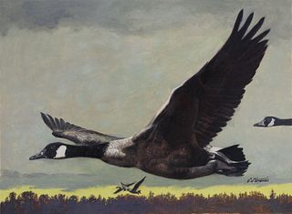 Shannon Stirnweis (B. 1931) Canada Goose