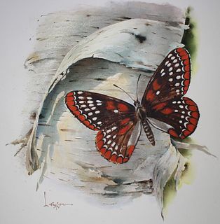 Lyle Tayson (1924 - 2014) Checkerspot Butterfly