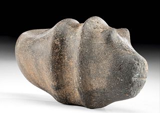 Rare Colima Stone Dog-Faced Mace
